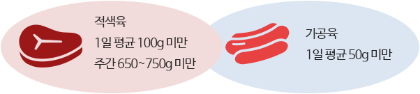 WHO 및 제외국 기준