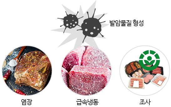 영양균형을 위한 적색육·가공육의 섭취