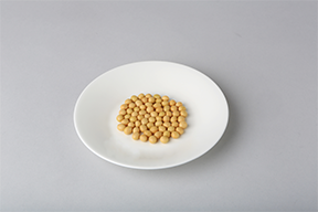 대두(20g)