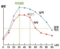 20대 중반에서 30대 초반의 청장년 시기에는 일생 중 최대 골질량이 형성되며 그 이후 연령증가에 따라 골 소실이 진행됩니다. 특히, 여성의 경우 폐경 이후 에스트로겐의 결핍으로 급격한 골 소실이 진행됩니다.