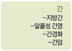 간 : 지방간, 알콜성 간염, 간경화, 간암