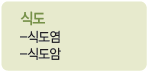 식도 : 식도염, 식도암
