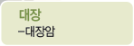 대장 : 대장암