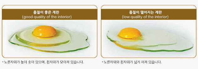 내용물이 껍질로부터 쉽게 분리되는지 확인합니다