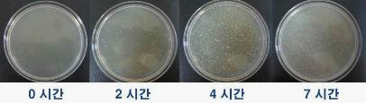 온도와 식중독의 관계
