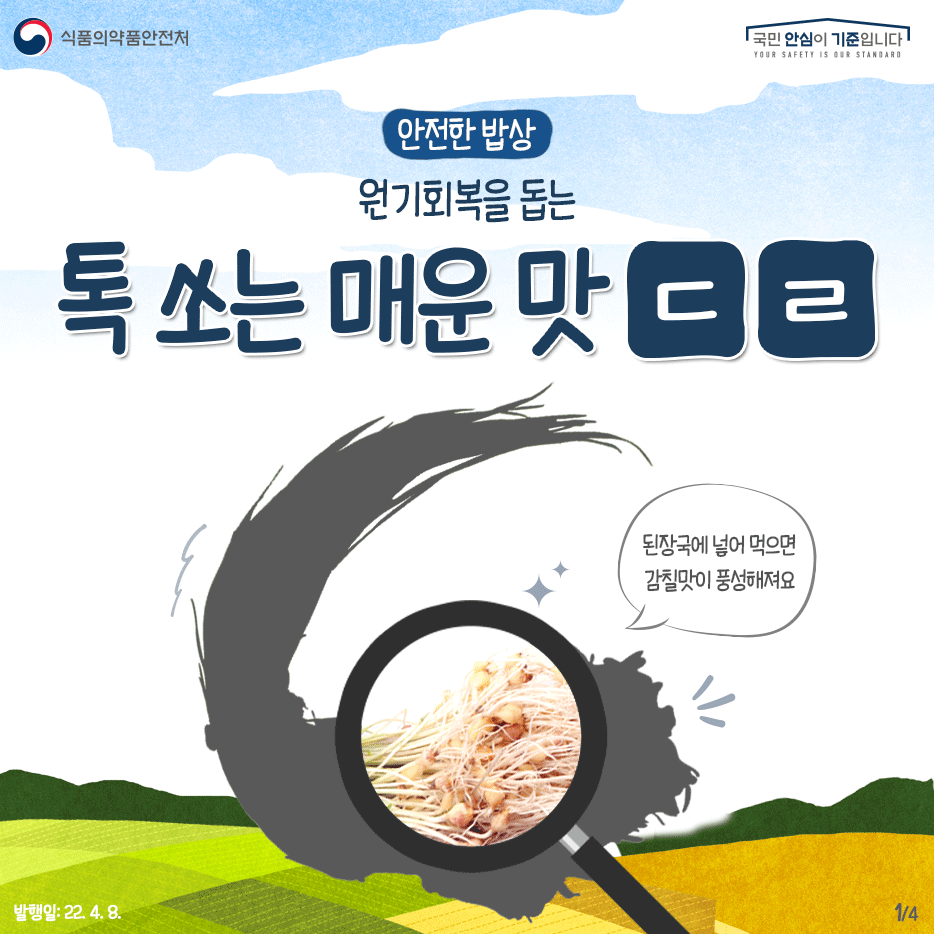 안전한 밥상  원기회복을 돕는 톡 쏘는 매운 맛      - 된장국에 넣어 먹으면 감칠맛이 풍성해져요