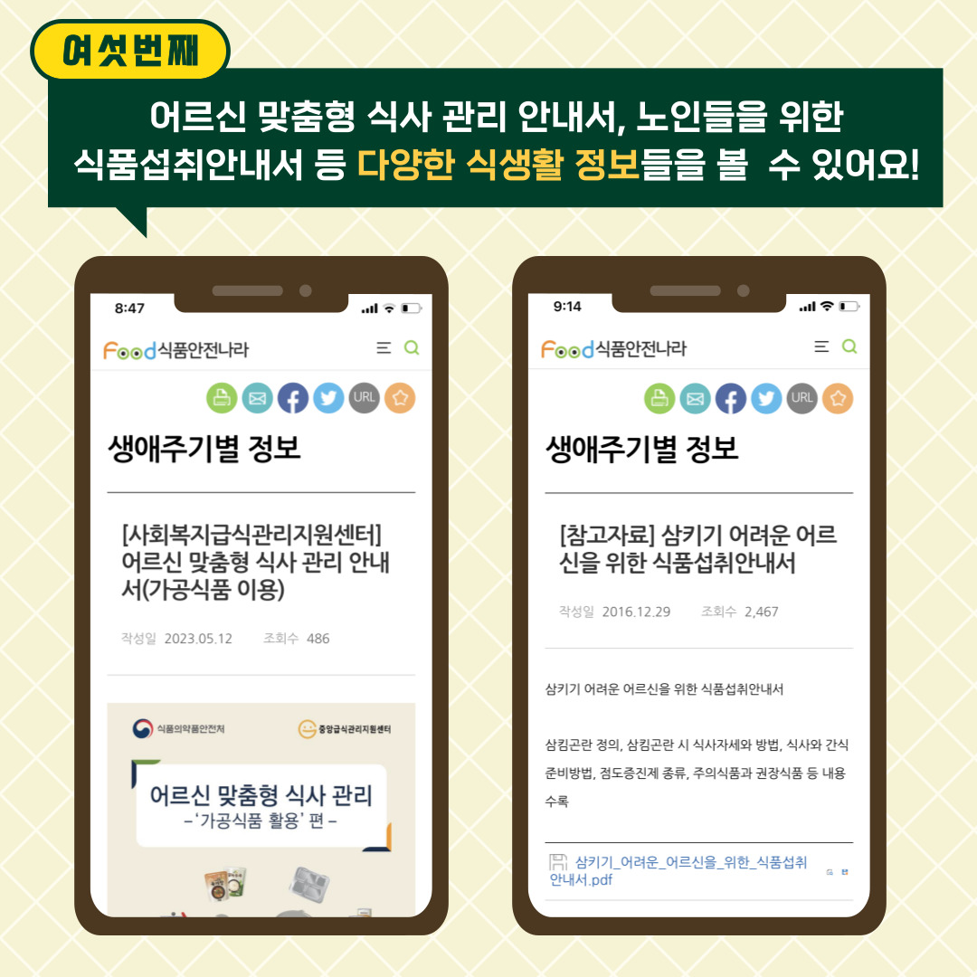 여섯 번째. 어르신 맞춤형 식사 관리 안내서, 노인들을 위한 식품섭취안내서 등 다양한 식생활 정보들을 볼 수 있어요!.