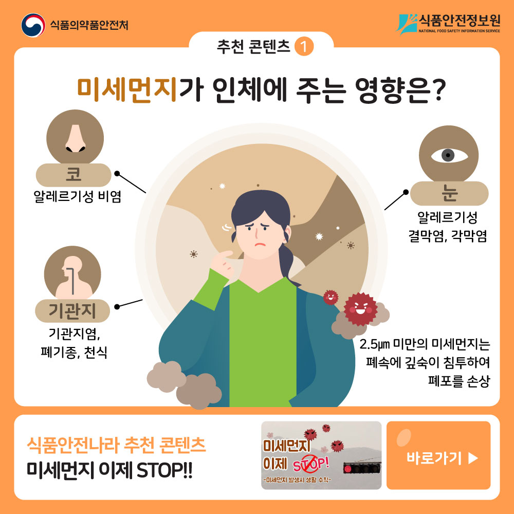 추천 콘텐츠1  미세먼지가 인체에 주는 영향은?  코 알레르기성 비염 눈 알레르기성 결막염,각막염 기관지 기관지염, 폐기종,천식   2.5㎛ 미만의 미세먼지는 폐속에 깊숙이 침투하여 폐포를 손상  식품안전나라 추천 콘텐츠-미세먼지 이제 STOP!!  바로가기