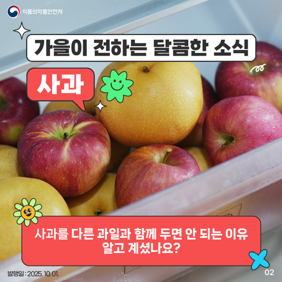 가을이 전하는 달콤한 소식 사과 사과를 다른 과일과 함께 두면 안 되는 이유 알고 계셨나요?