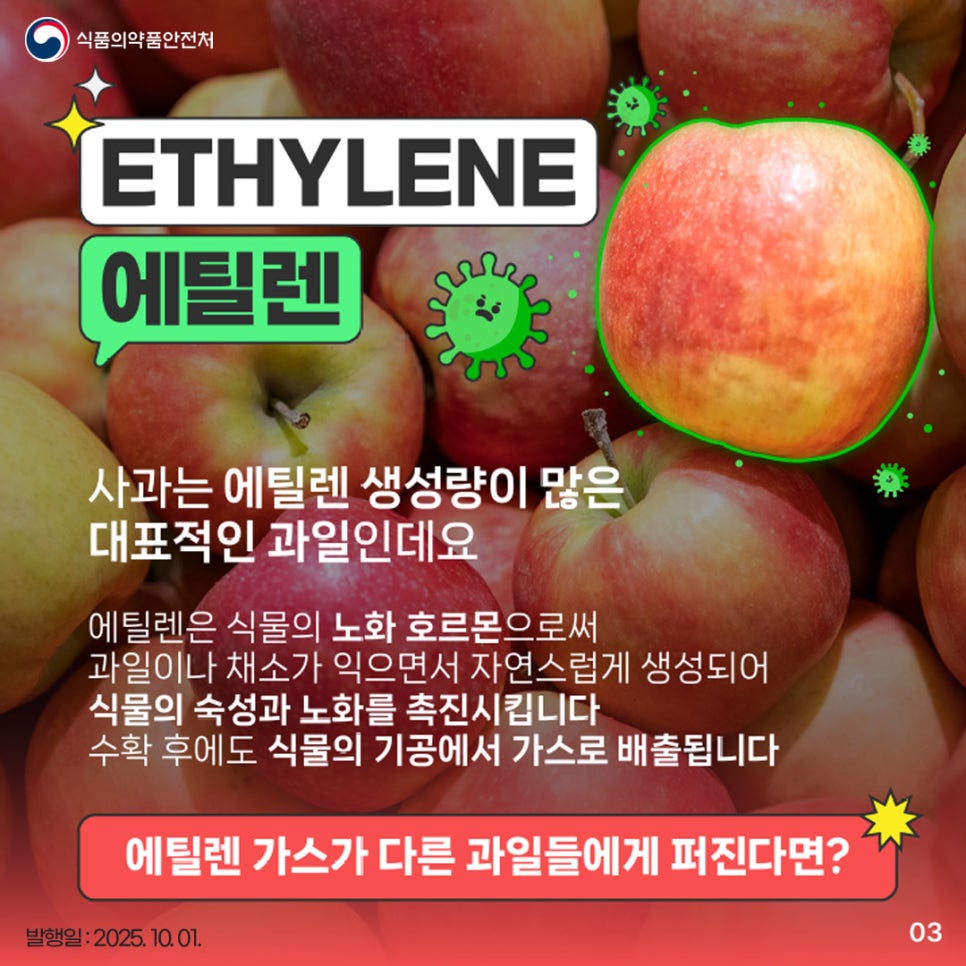 ETHYLENE 에틸렌 사과는 에틸렌 생성량이 많은 대표적인 과일인데요 에틸렌은 식물의 노화 호르몬으로써 과일이나 채소가 익으면서 자연스럽게 생성되어 식물의 숙성과 노화를 촉진시킵니다 수확 후에도 식물의 기공에서 가스로 배출됩니다 에틸렌 가스가 다른 과일들에게 퍼진다면?