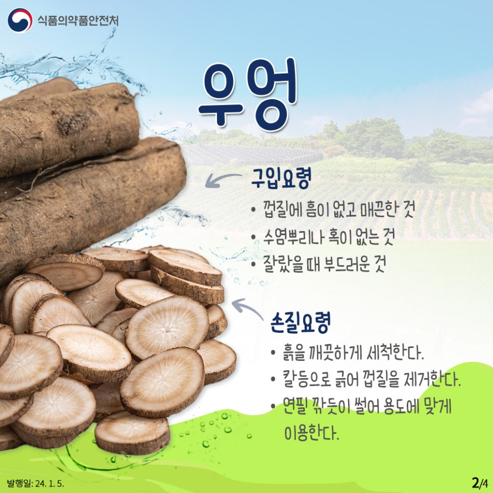 우엉  ​  구입요령   - 껍질에 흠이 없고 매끈한 것  - 수염뿌리나 혹이 없는 것  - 잘랐을 때 부드러운 것  ​  손질요령  - 흙을 깨끗하게 세척한다.  - 칼등으로 긁어 껍질을 제거한다.  - 연필 깎듯이 썰어 용도에 맞게 이용한다. 