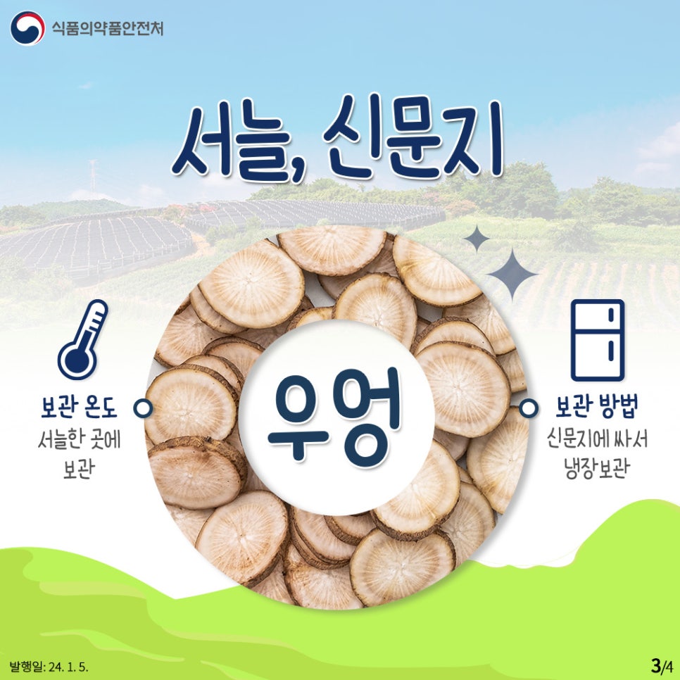 서늘한 곳에 신문지와 함께  ​  보관 방법 : 신문지에 싸서 냉장보관  보관 온도 : 서늘한 곳에 보관  ​