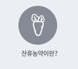 잔류농약이란?