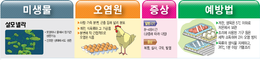 살모넬라균 예방법 미생물 살모넬라 토양이나 물에서 장기간 생존가능 건조한 상태에서도 생존 오염원 ▶사람·가축 분변 곤충 등에 널리 분포 ▶계란 식육류와 그 가공품 분변에 직·간접적으로 오염된 식품 증상 발병시기 8~48시간 (균종에 따라 다양) 증상 복통, 설사, 구토 발열 예방법 ▶계란, 생육은 5℃ 이하로 저온에서 보관 ▶조리에 사용된 기구 등은 세척·소독하여 2차 오염 방지 ▶육류의 생식을 자제하고, 74℃, 1분 이상 가열조리
