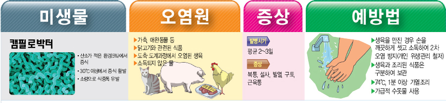 캠필로박터 예방법 미생물 캠필로박터 산소가 적은 환경5%)에서 증식 30℃ 이상에서 증식 활발 소량으로 식중독 유발 오염원 ▶가축 애완동물 등 ▶닭고기와 관련된 식품 도축 도계과정에서 오염된 생육 소독되지 않은 물 증상 발병시기 평균 2~3일 증상 복통, 설사, 발열 구토, 근육통 000 예방법 ▶생육을 만진 경우 손을 깨끗하게 씻고 소독하여 2차 오염 방지(개인 위생관리 철저) ▶생육과 조리된 식품은 구분하여 보관 ▶74℃, 1분 이상 가열조리 ▶가급적 수돗물 사용