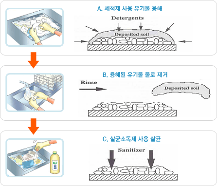 A.세척제 사용 유기물 용해 Detergents >Deposited soil, B.용해된 유기물 물로 제거 Rinse > Deposited soil, C.살균소독제 사용 살균 Sanitizer