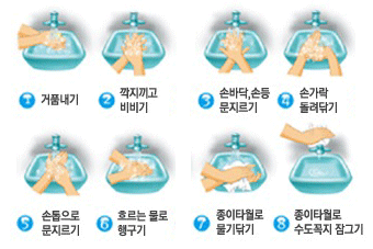 1. 거품내기 2.깍지끼고 비비기 3.손바닥,손등 문지르기 4.손가락 돌려닦기 5.손톱으로 문지르기 6. 흐르는 물로 행구기 7.종이타월로 물기닦기 8.종이타월로 수도꼭지 잠그기