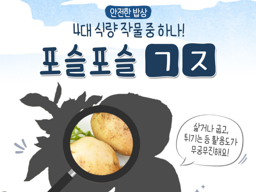 인포그래픽 [안전한 밥상] 4대 식량 작물 중 하나! 포슬포슬 감자 이미지