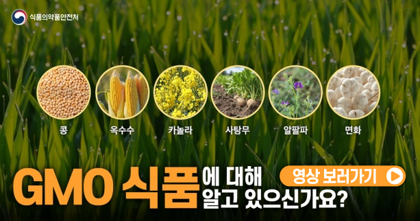 식품의약품안전처
콩, 옥수수, 카놀라, 사탕무, 알팔파, 면화
GMO식품에 대해 알고 있으신가요? 영상 보러가기&gt;