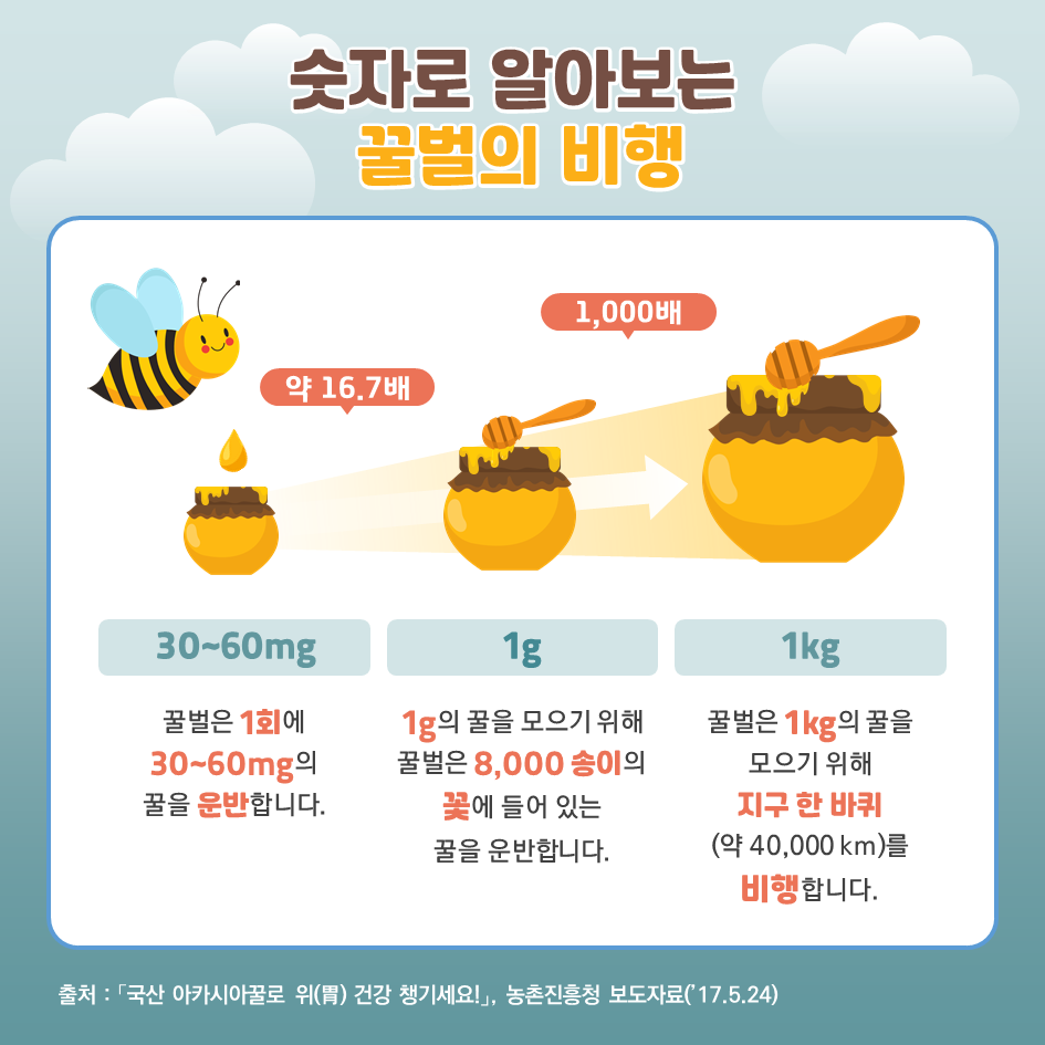 ▶ 숫자로 알아보는 꿀벌의 비행 30~60mg / 꿀벌은 1회에 30~60mg의 꿀을 운반합니다. 1g / １ｇ의 꿀을 모으기 위해 꿀벌은 8,000송이의 꽃에 들어 있는 꿀을 운반합니다. 1kg / 꿀벌은 1kg의 꿀을 모으기 위해 지구 한 바퀴(약 40,000km)를 비행합니다. * 출처 : 「국산 아카시아꿀로 위(胃) 건강 챙기세요!」, 농촌진흥청 보도자료(’17.5.24)